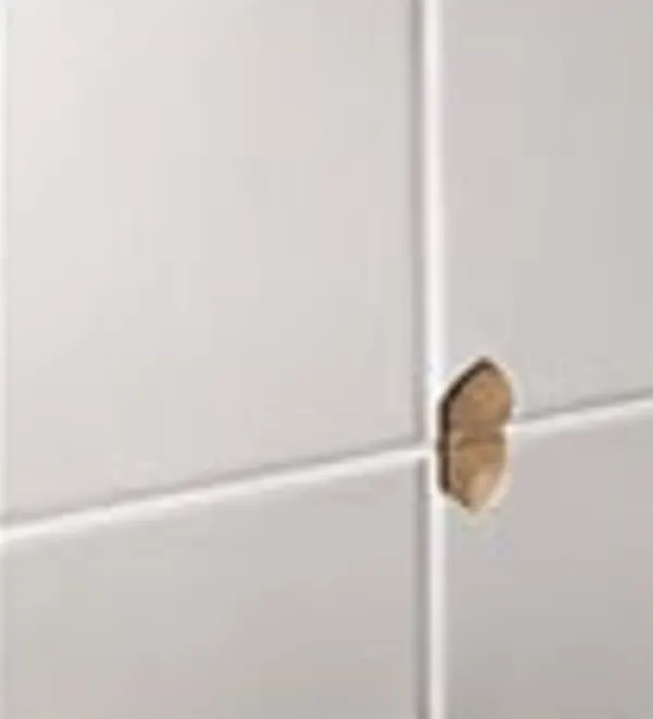 ba-05-tile before